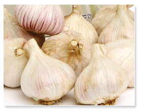 마늘사진